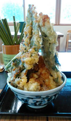 tendon1